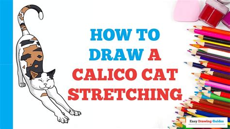 How To Draw A Calico Cat Stretching Easy Step By Step Drawing Tutorial