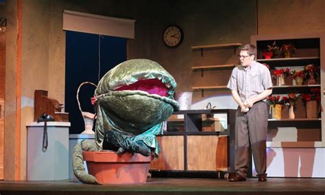 ‘Little Shop of Horrors’ serves up large helping of musical comedy – BG ...