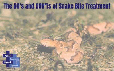 The DO’s and DON’Ts of Snake Bite Treatment | fchtexas