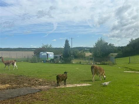 Nahdran Jenny Gro Und Susanne G Rg Vor Ort Im Tierheim Montabaur