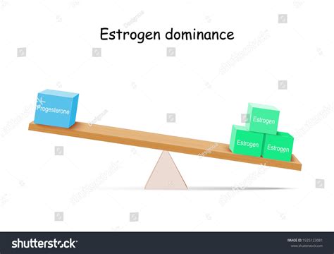 Estrogen Progesterone Levels Balance Sex Hormone Stock Vector Royalty