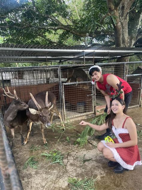 Unang Hirit On Twitter ICYMI BONDING WITH REINDEER KASAMA ANG UH