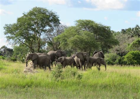 Visit Katavi National Park In Tanzania Audley Travel UK