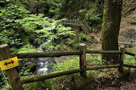 静岡・梅ヶ島温泉 安倍の大滝 Himekyonの部屋 楽天ブログ