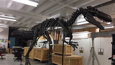 Cincinnati Museum Centers Dinosaur Hall Gets Sweet Donation From Udf