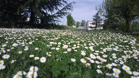 Campus Bordeaux Sciences Agro