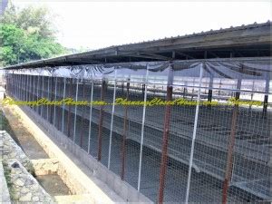 Proses Konstruksi 2 Lantai Konstruksi Baja Breeding Farm 2 Lantai