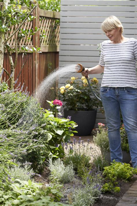 Sonniges Kr Uterbeet Anlegen Sch Ne Ideen F R Deinen Garten