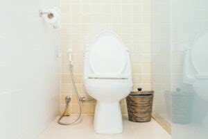 Here’s How You Can Fix Your Leaking Toilet Flapper In Just Four Steps ...