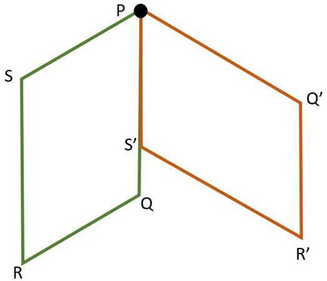 Copy The Quadrilateral Pqrs And Point P Draw The Image Of T Quizlet