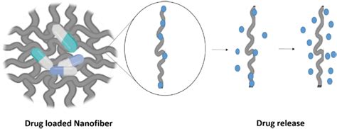 The Application Of Electrospun Nanofibers In Drug Delivery Systems