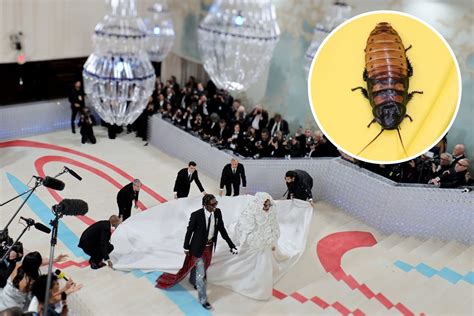 Video of Cockroach at Met Gala Goes Viral Before Getting Stepped On - Newsweek