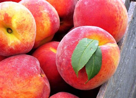 Компот из персиков с косточкой