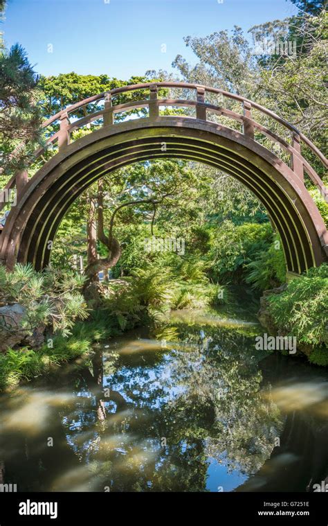 Wooden Curved Bridge Japanese Tea Garden Golden Gate Park San