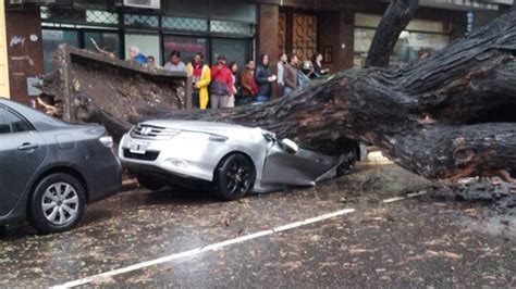 Tormenta en Buenos Aires un árbol gigante aplastó un auto en Chacarita