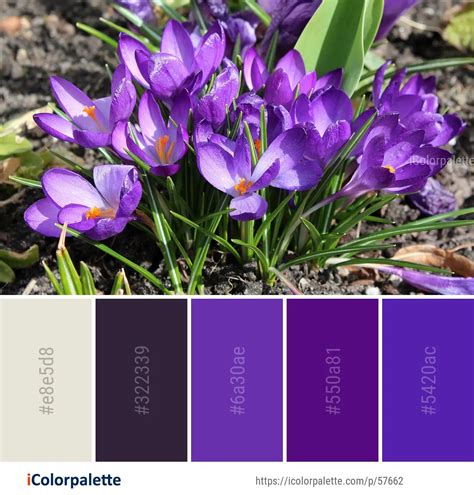 8 Saffron Color Palette ideas in 2024 | iColorpalette