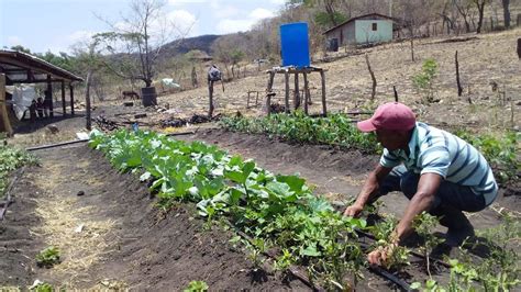 Cultivo Biointensivo Del Corredor Seco