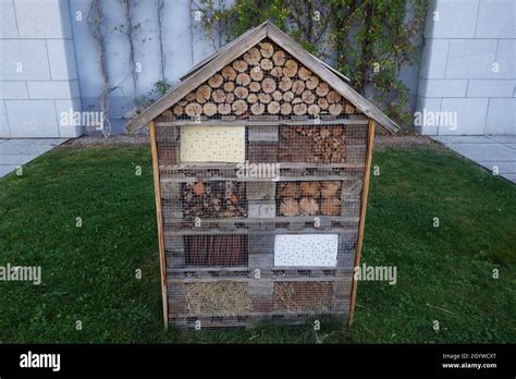 Un Hotel De Insectos Tambi N Conocido Como Un Hotel De Insectos O Una