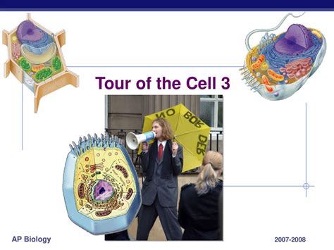 Tour Of The Cell Ppt Download