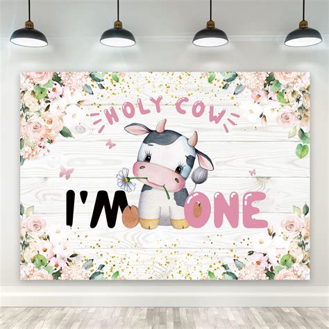 Amazon MEHOFOND Holy Cow I M One Backdrop Boho Pink Floral Girls