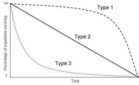 Solved The Graph Shows Survivorship Curves For Different Reproductive