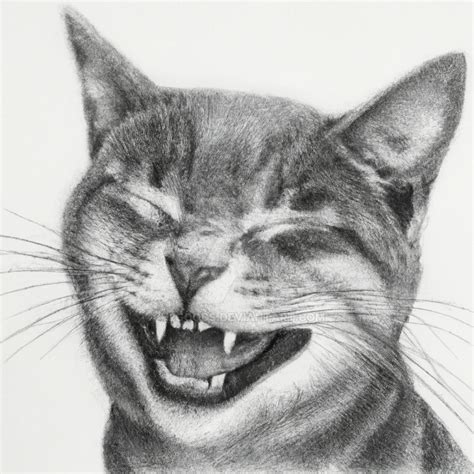 Laughing Cat by H2Goods on DeviantArt