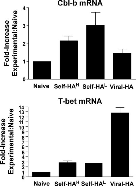 Cbl B Mrna Expression Increases In Self Ha Tolerized Tcr Tg Cd4 T Download Scientific Diagram