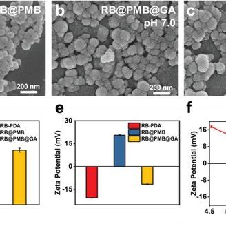 A Clsm Images Of The P Aeruginosa Biofilms Treated With Rb Pmb And