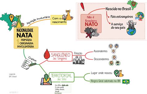 Crit Rio Para Determinar A Nacionalidade Prim Ria Normas