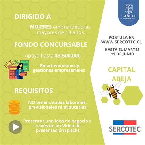 Postula Al Capital Abeja Emprende De La Regi N Del Biob O Munica Ete