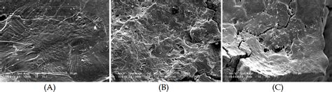 Biomimetic Structured Porogen Freeform Fabrication System For Tissue