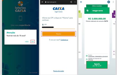 Loterias Caixa Como Jogar Na Mega Sena Pela Internet