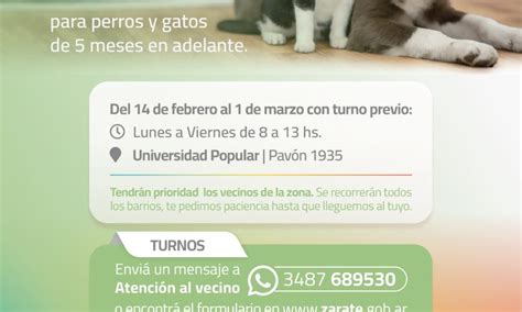 Castraciones Gratuitas Para Perros Y Gatos INFOZC NOTICIAS