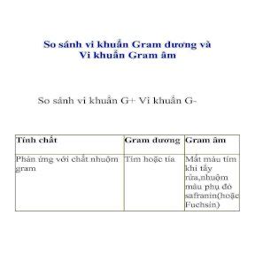 Tài liệu So sánh vi khuẩn Gram dương và Vi khuẩn Gram âm ppt