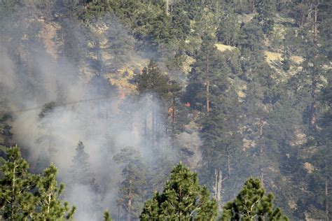 Mount Charleston Fire Forces Evacuations Burns 10 Acres Of Forest Land