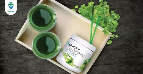 Hướng Dẫn Unicity Super Chlorophyll Powder Cách Sử Dụng đúng Cách Và