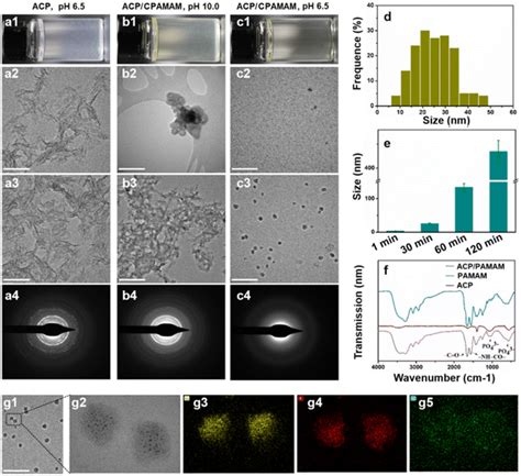 Intrafibrillar Mineralization Of Type I Collagen By Micelle Loaded