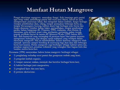 HUTAN MANGROVE Pengertian Hutan Mangrove Hutan Mangrove Adalah Hutan