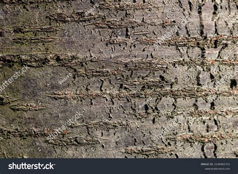 Cartera De Fotos E Im Genes De Stock De Radu F D Shutterstock