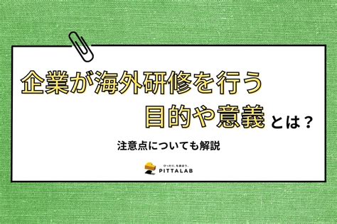 企業が海外研修を行う目的や意義とは？注意点についても解説 Pittalab