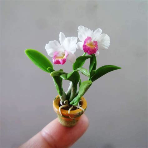 Dollhouse Miniatures HANDMADE Flower Clay Garden Fairy Cattleya Orchid