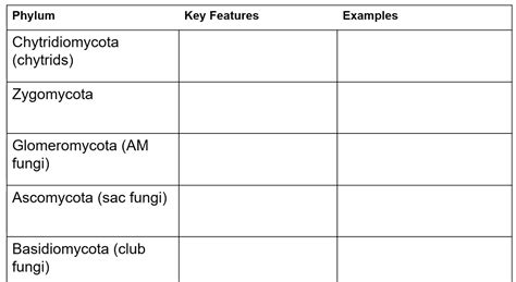 Answered: Phylum Key Features Examples… | bartleby