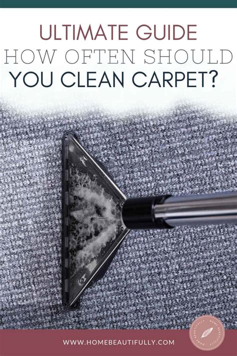 Ultimate Guide How Often Should You Clean Carpets And Rugs