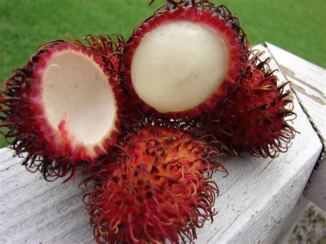 Popular Tropical Fruits Of Malaysia Delishably