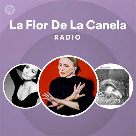 La Flor De La Canela Radio Playlist By Spotify Spotify