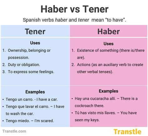 Haber And Tener In Spanish Full Guide Differences Examples In 2024