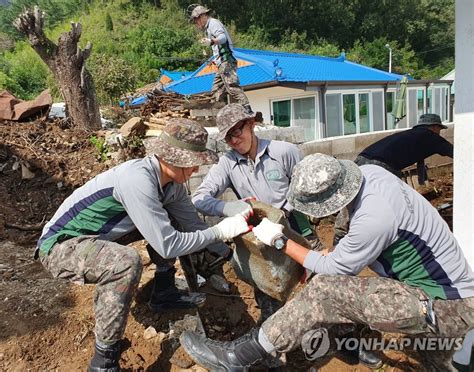 육군 50사단 장병들 태풍피해 복구 나서 연합뉴스