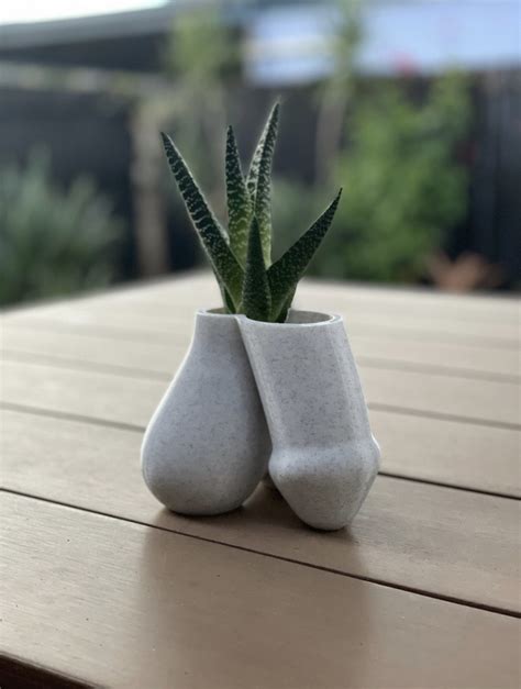 Stl File Penis Planter The Grower Fun Succulent Planter Gcode D