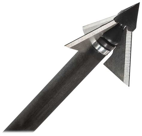 Best Broadheads for Whitetail Deer