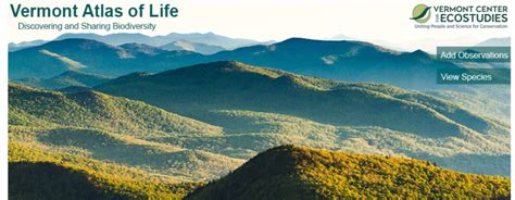 Inaturalists Helped The Vermont Atlas Of Life Build Biodiversity Big